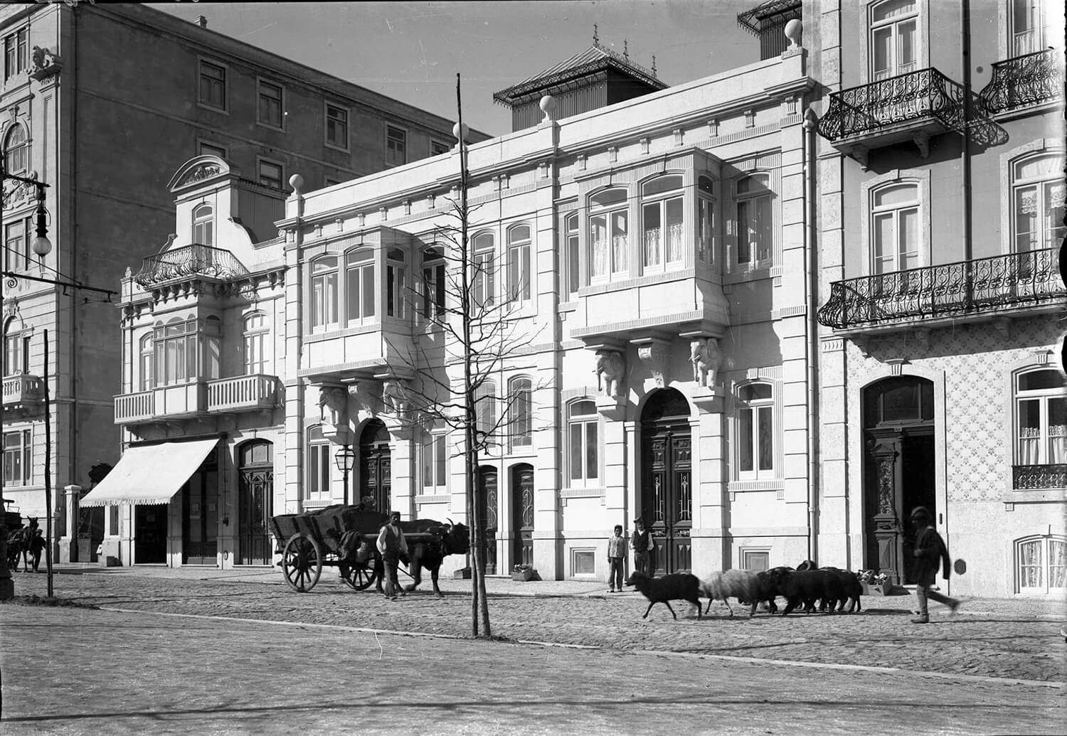Avenida Avenidas Novas